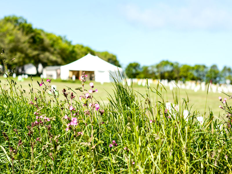 Helston and Lizard Peninsula Centre