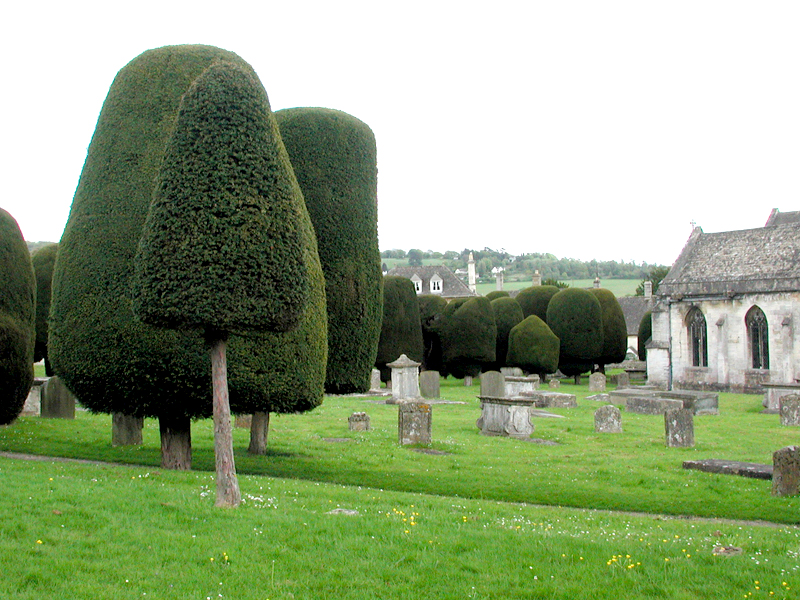 Painswick Centre