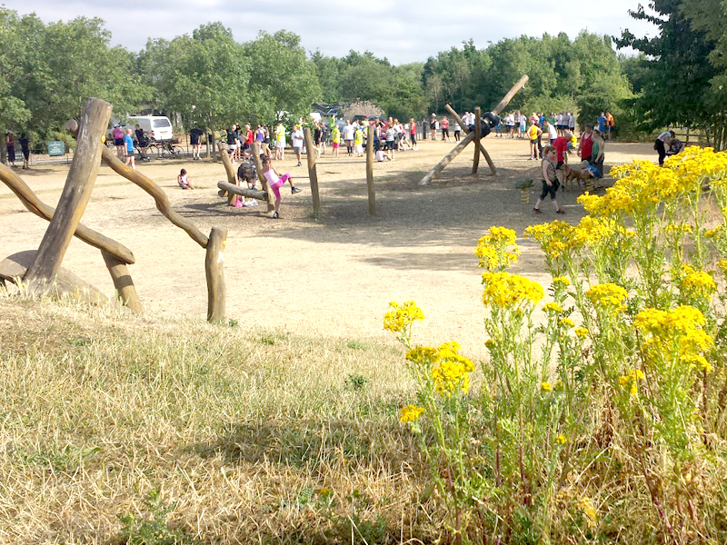  Bedfont Lakes Country Parks