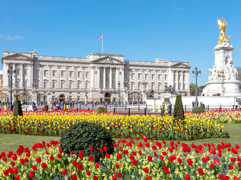  Buckingham Palace