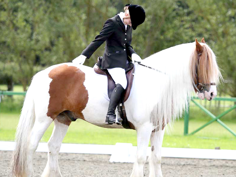 Deen City Farm and Riding School