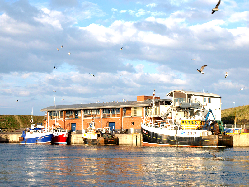  Eyemouth Centre