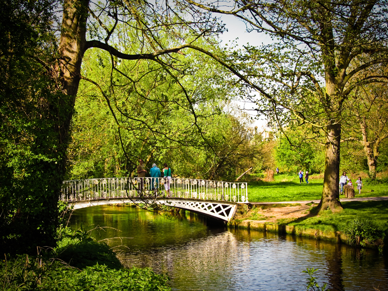  National Trust: Morden Hall Park