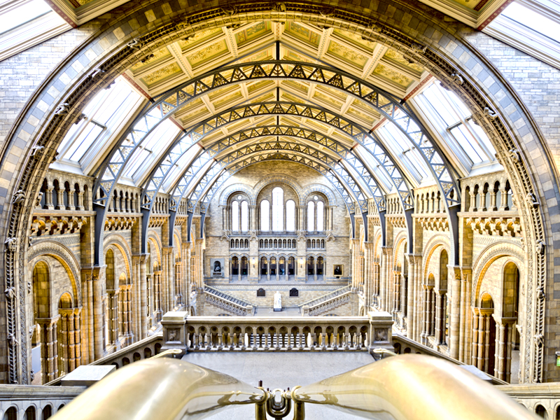  Natural History Museum