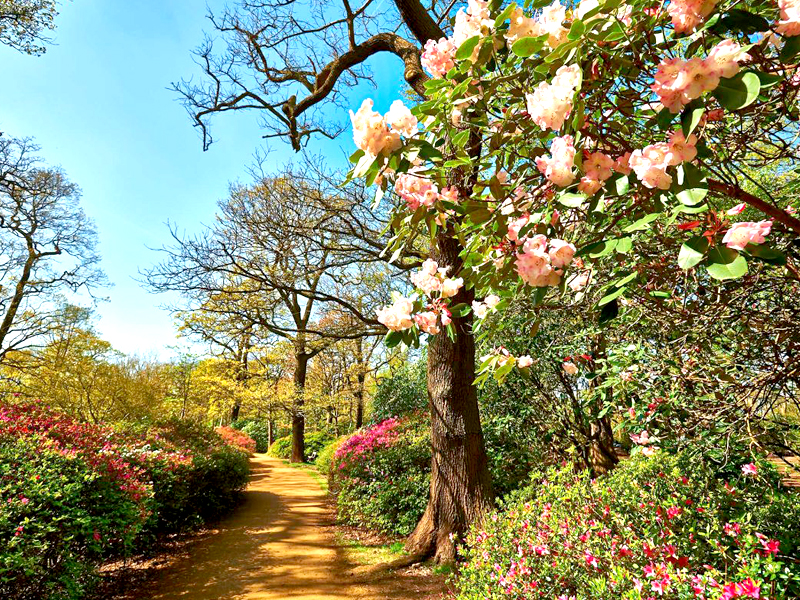  Richmond Park