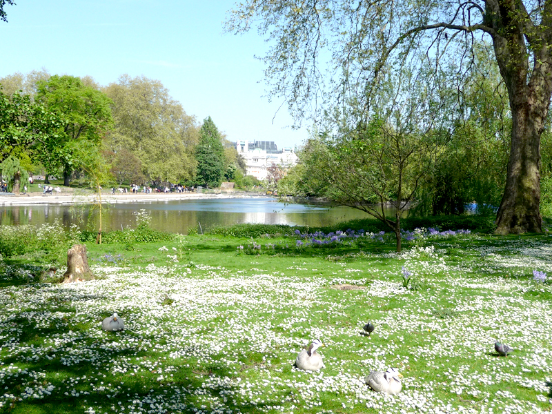 St James's Park