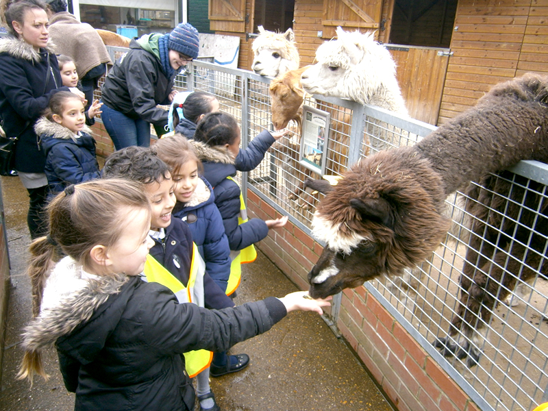  Vauxhall City Farm